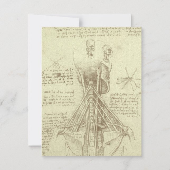 Carte Colonne de colonne vertébrale de l'anatomie humain (Devant)