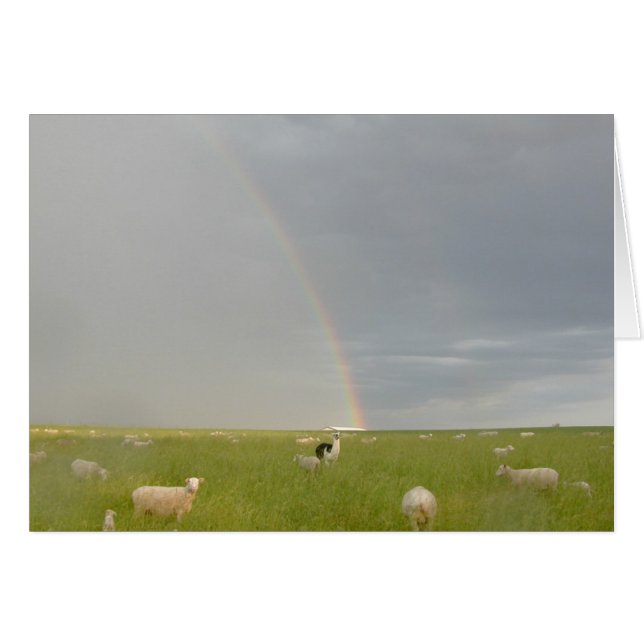 Carte Color Guard (Devant horizontal)