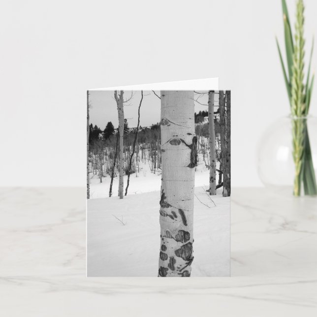 Carte Colorado Hiver Aspen (Devant)