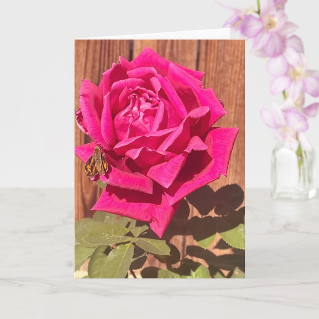 Carte Coloré Élégant rose Floral Flower rose (Orchidée)