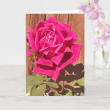 Coloré Élégant rose Floral Flower rose