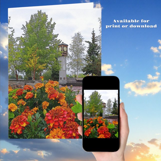 Carte Coloré Floral Pittoresque Couverture photo Fairban (Greeting Card print & download covers)