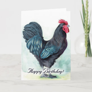 Carte colorée d'anniversaire de poulet debout. Coq