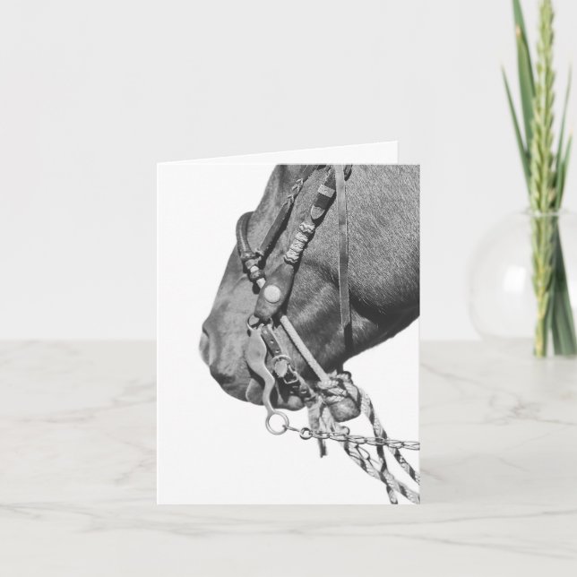 Carte Colt in the Two Rein - 4" x 5.6" Notecard (Devant)