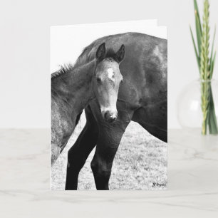 Carte Colt Joyeux anniversaire