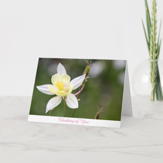 Carte Columbine blanc pensant à vous cardent (Devant)