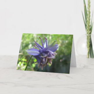 Carte Columbine bleu mou