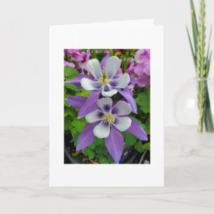Carte Columbine flower greeting card