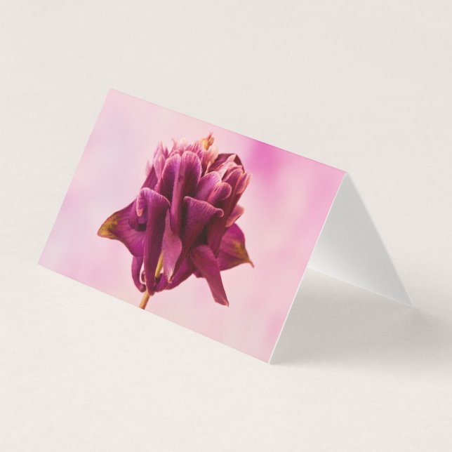 Carte Columbine rose Bourgogne (Front)