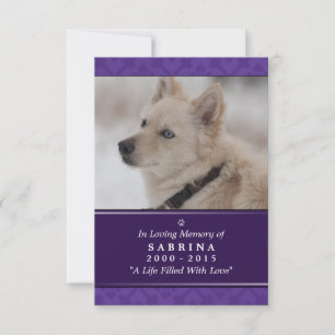 Carte commémorative de chien 3,5 po x 5 po - Photo