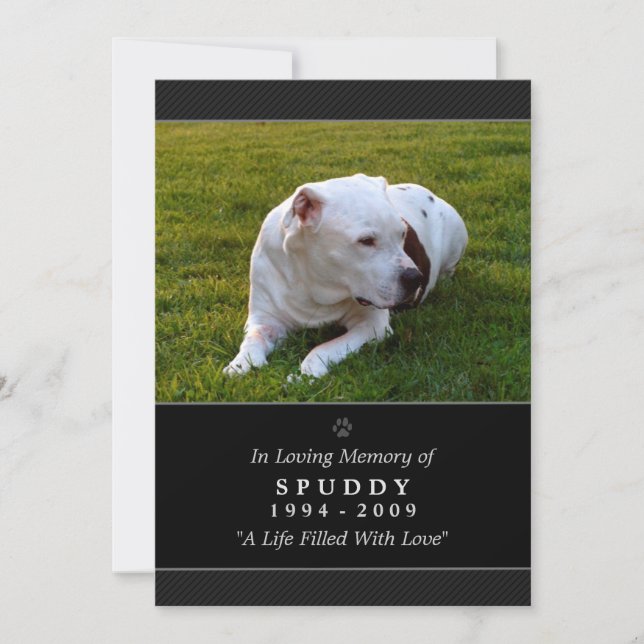 Carte commémorative pour animaux 5 x 7 Black Photo (Devant)