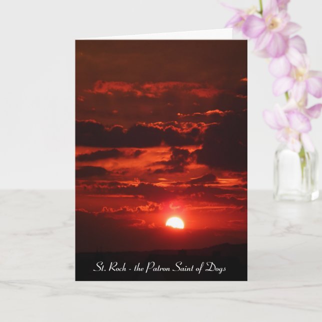Carte Comment Saint Roch est devenu le saint patron des  (Orchidée)