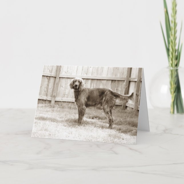 Carte Comment vas-tu ? (Devant)