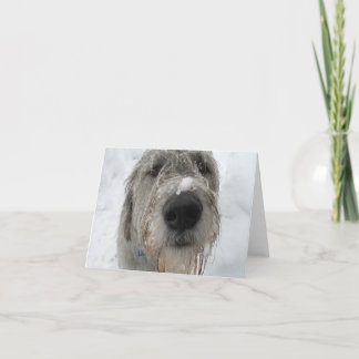 Carte Comment vas-tu ?