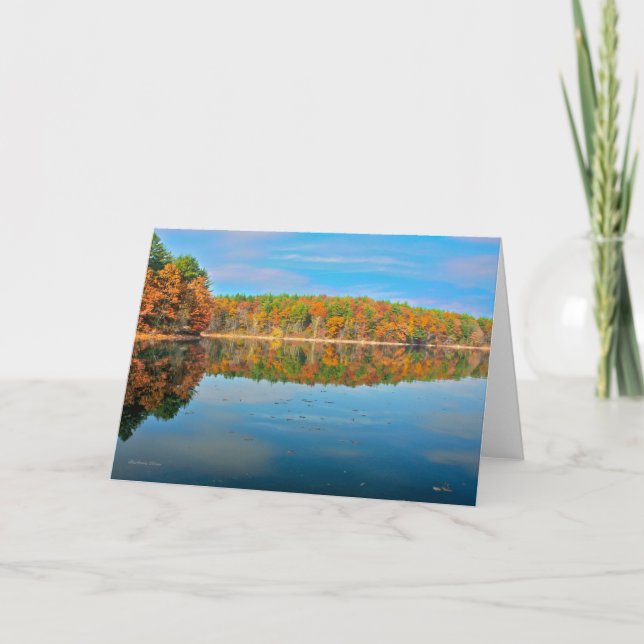 Carte Compagnon de Solitude-Un en nature (Devant)