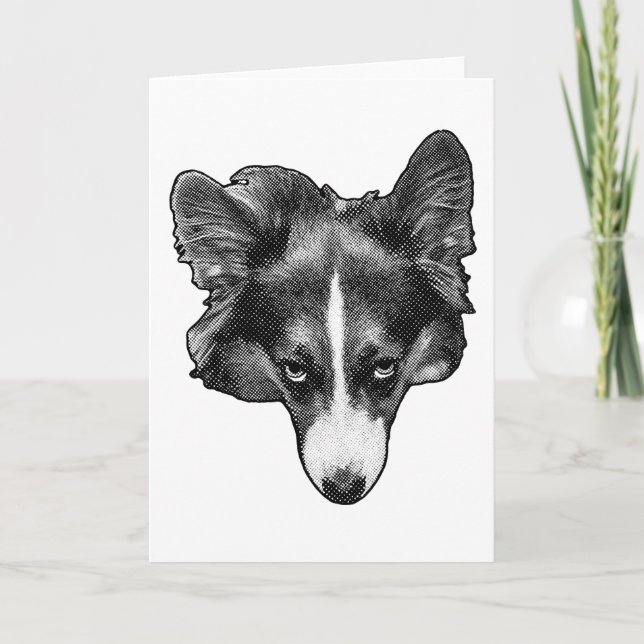 Carte compagnon dotlight (Devant)