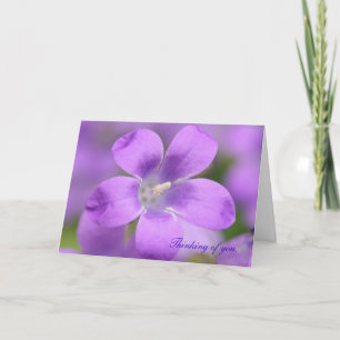 Carte Compagnon. Pensez à vous, Card