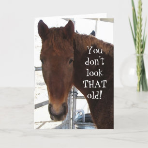 Carte Compliment d'anniversaire amusant TWH Horse Wester