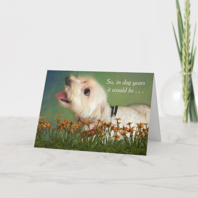 Carte Compte dans l'anniversaire d'années de chien (Devant)