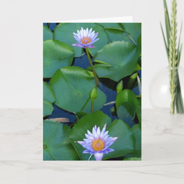 Carte Comptez vos bénédictions (Devant)