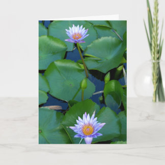 Carte Comptez vos bénédictions