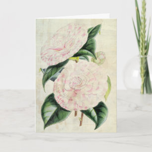 Carte Comtesse botanique vintage de Derby Camellia
