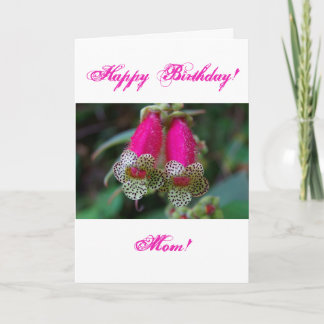 Carte Conception de Leopard Flower