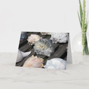 Carte Conch Shell Birthday