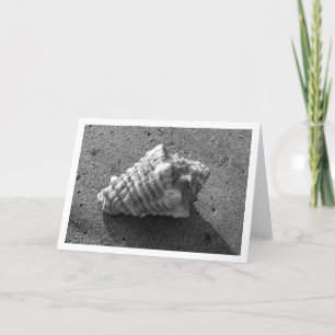 Carte Conch Shell (noir et blanc)
