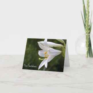 Carte Condolences Floral Card