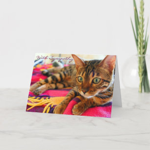 Carte Condolences With Sympathy Beautiful Bengal Cat