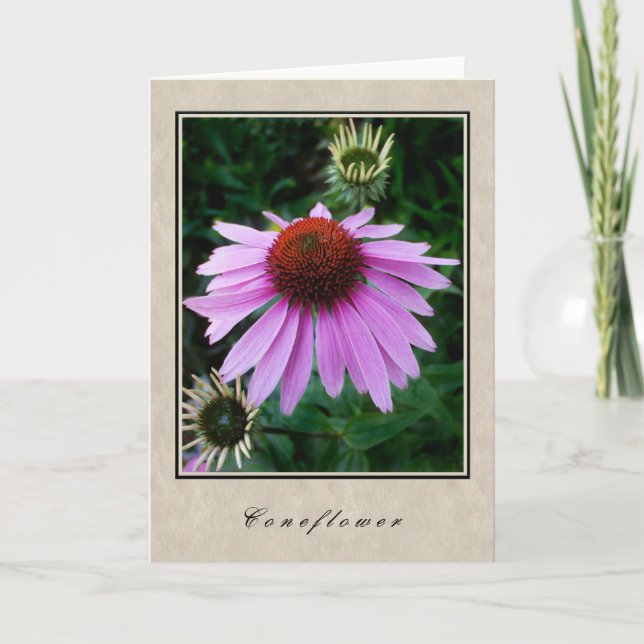 Carte Coneflower (Devant)