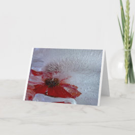 Carte Conflower in Ice,