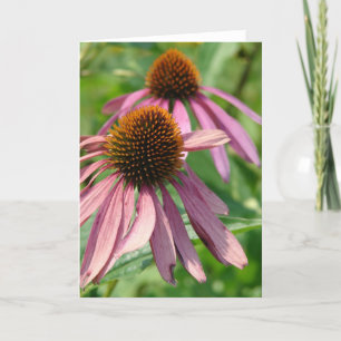 Carte Conflowers