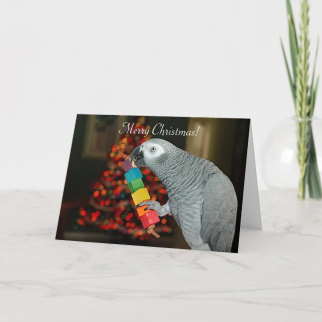 Carte Congo African Grey Parrot Joyeux sapin de Noël (Devant)