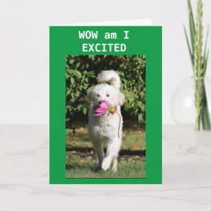 CARTE CONGRATULATIONS ON YOUR **NEW HOME*