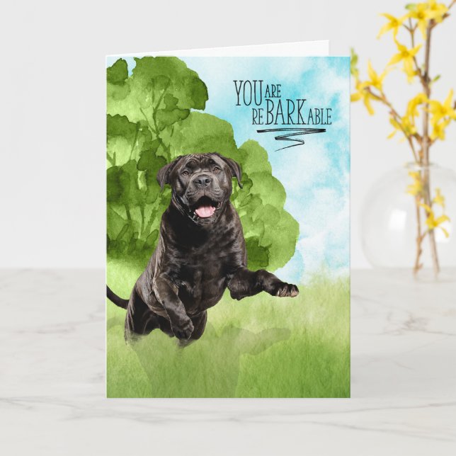 Carte Congratulations reBARKable Cane Corso Dog (Fleur jaune)