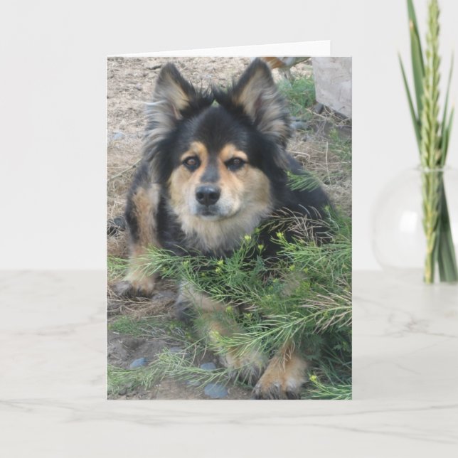 Carte "Conseil" (Devant)