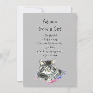 Carte Conseil amusant d'un Humour animal amusant chats