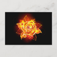 Blooming Fire Rose