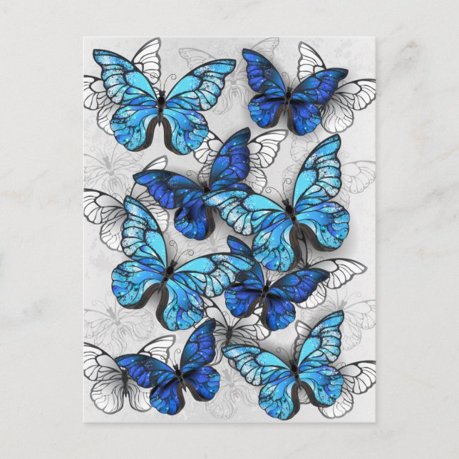 Carte Conseil Composition des White and Blue Butterflies (Devant)