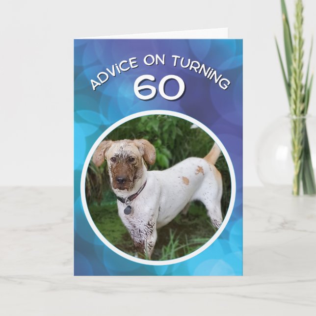 Carte Conseil drôle de chien pour l'âge de 60 ans (Devant)