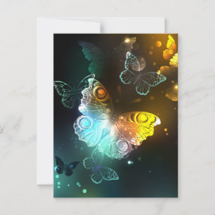 Carte Conseil Papillon lumineux et papillons de nuit