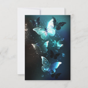 Carte Conseil Papillons de nuit