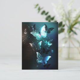 Carte Conseil Papillons de nuit