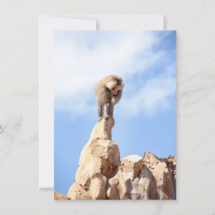 Carte Conseil Singe babouin au sommet d'une montagne