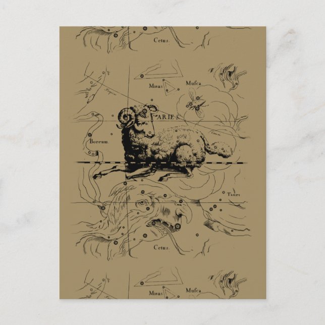 Carte Constellation Aries Hevelius 1690 (Devant)
