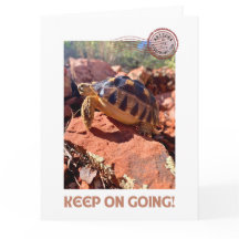 Continuez à aller Inspirational coddiwompling tort