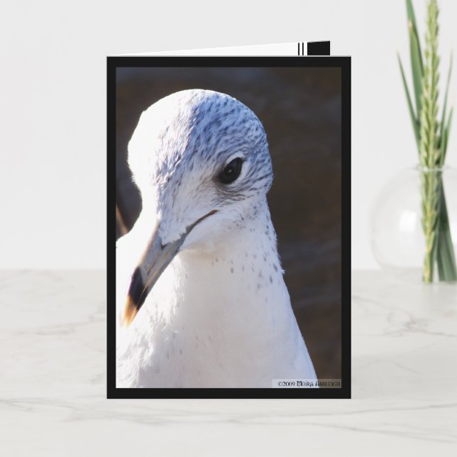 Carte Contraste radical (Devant)