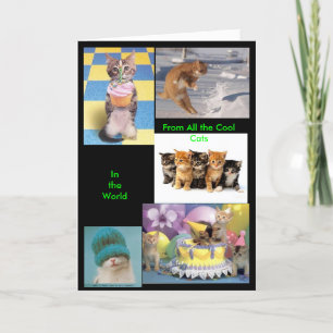 Carte Cool Cat Card